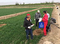 �ġ��ƴ���Փ�����ܵ����o