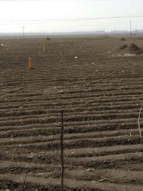 �ؔ��ױI�͵ġ�Ļ����֡�