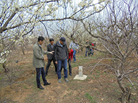 �͚�ܵ��Ϸ��r����p�a(ch��n)�F���̽