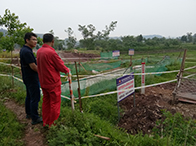 ����(sh��)���A�˱����� ���M(j��n)�L(ch��ng)ݔ�ܵ����������_�A