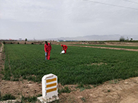 ����A�����ƆT���Ĳ���ȫ�О�