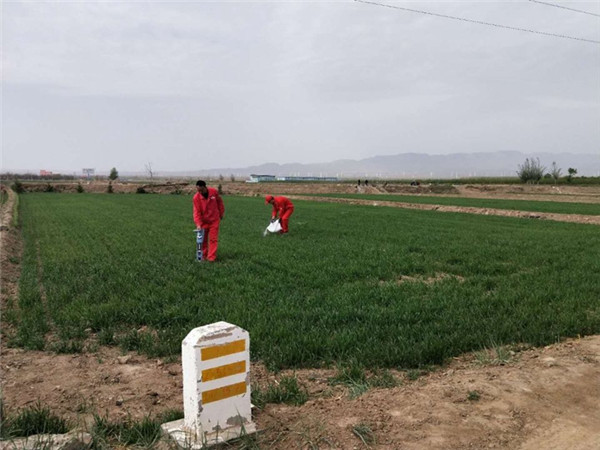 ���|(zh��)��ȫ�u�r(ji��)����Ȼ���L(ch��ng)ݔ�ܵ����|(zh��)�ĺ��L(f��ng)�U�����е��ƏV����