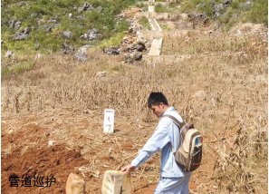 �ߺ���^�R�e�c�L(f��ng)�U�ܿ�