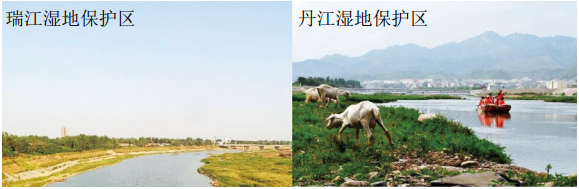 ����|ݔ����(xi��n)�����l�����ң������OӋ�Ŀ�����w��(hu�� )