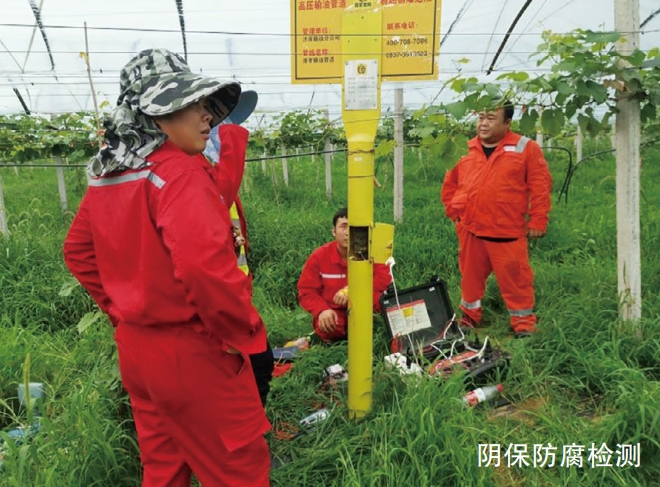 �ط������ӏ��ߺ���^���팍(sh��)�`̽��