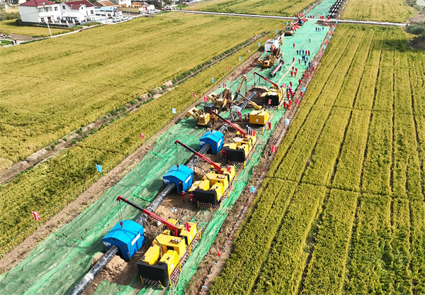 �B�x�ܵ������B�����_(k��i)��45�캸�ӳ�20����  �AӋ2025���ϰ��ꌍ(sh��)�F���w�ܵ�ȫ��(xi��n)؞ͨ