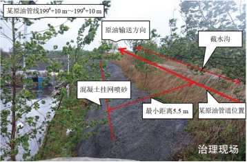 �����(l��i)���|(zh��)�ĺ�Ӱ푹ܵ���ȫ��������